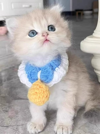 6a2e794cf7ec4c18ba2a52f75b60d647-Max