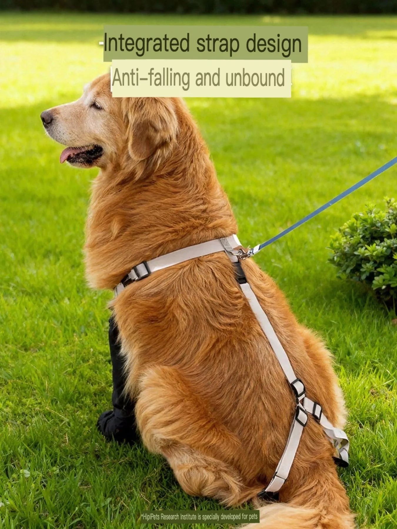 6bd67e03-a501-42aa-b62a-cb0606bf6c4e-Max-Origin