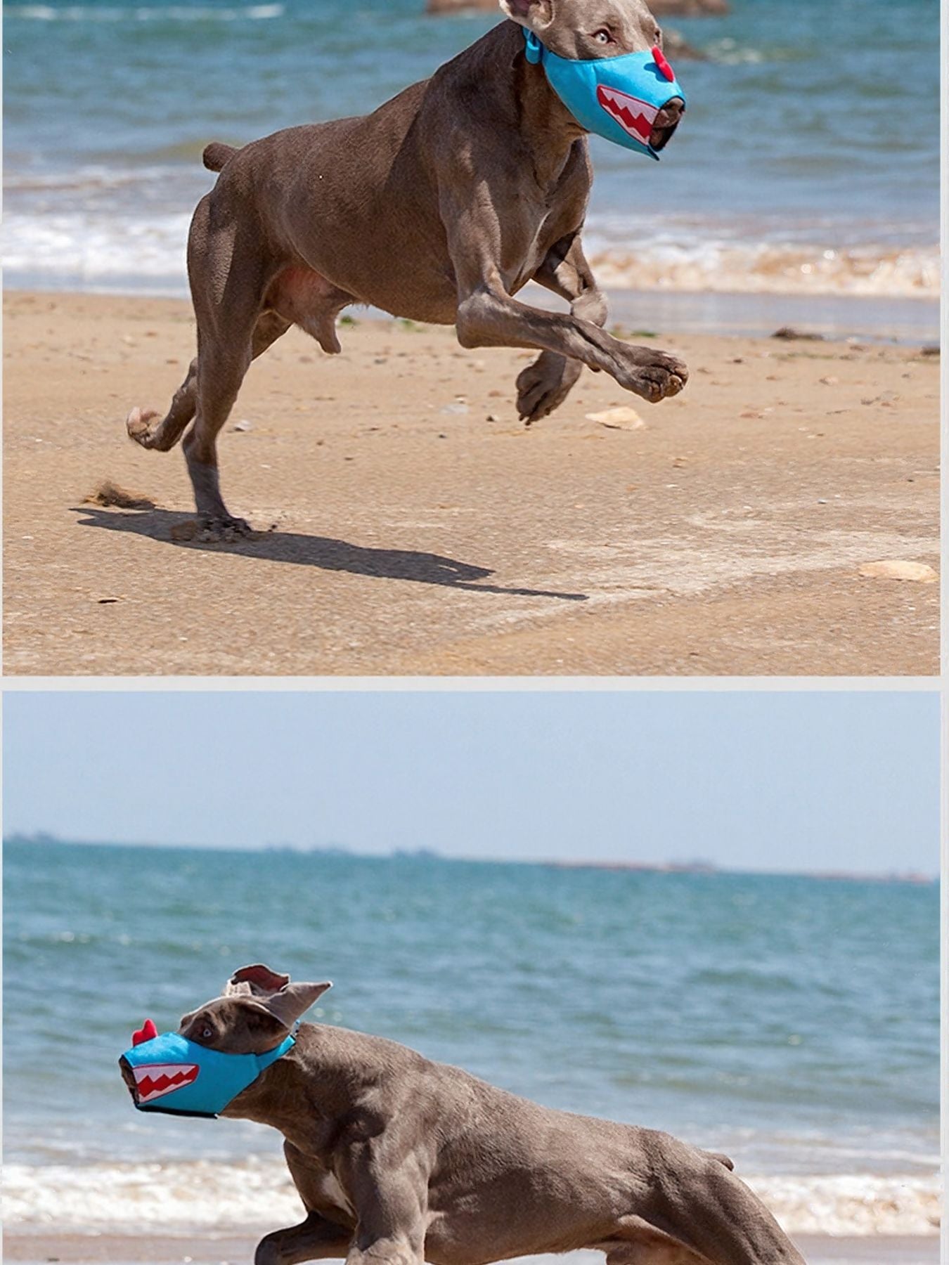 6bfdfb6f-f890-4f59-8a43-b0437bf3e848-Max