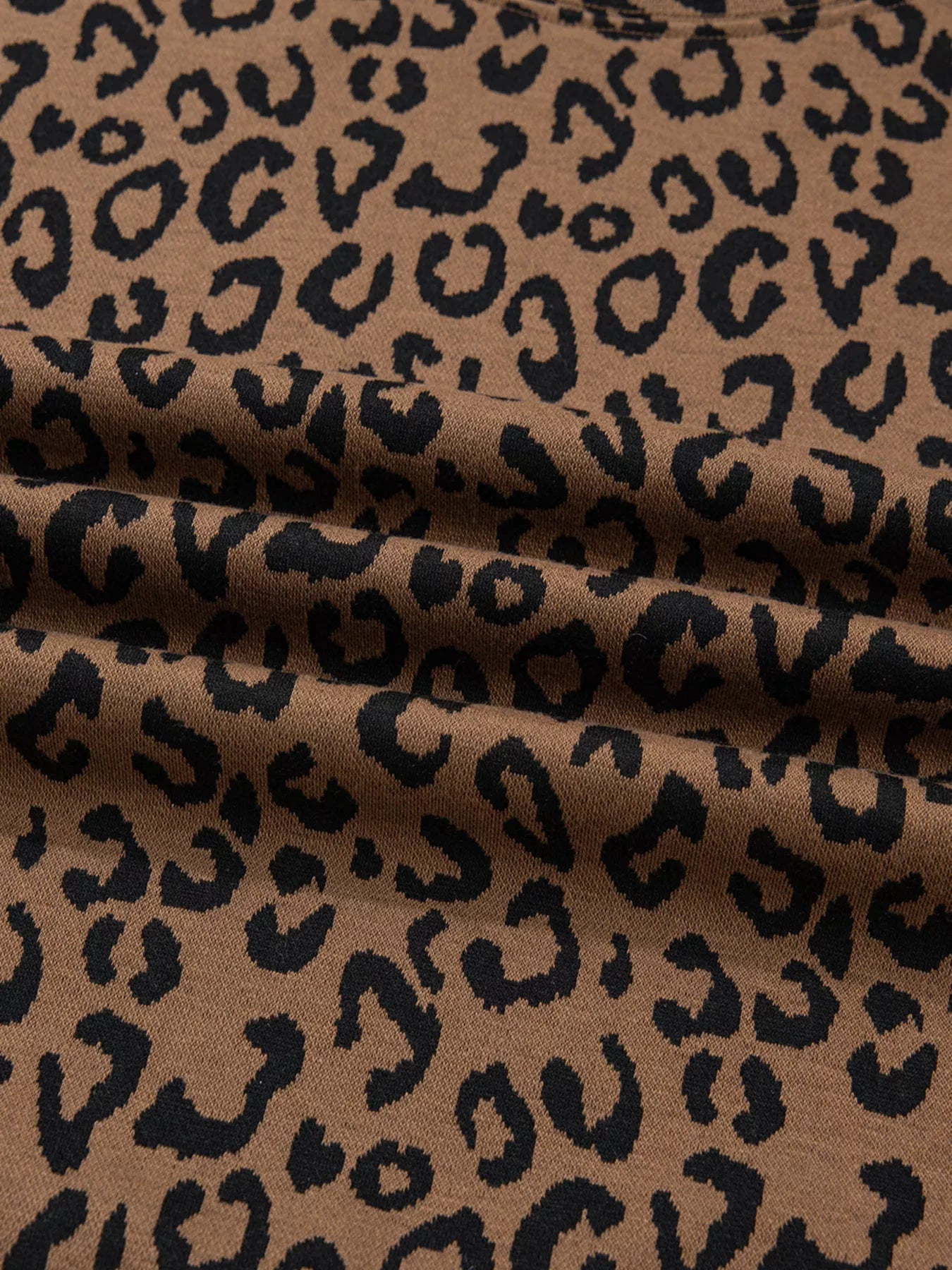 Striped Trim Leopard Long Sleeve Top Drawstring Pant Set by Trendsi