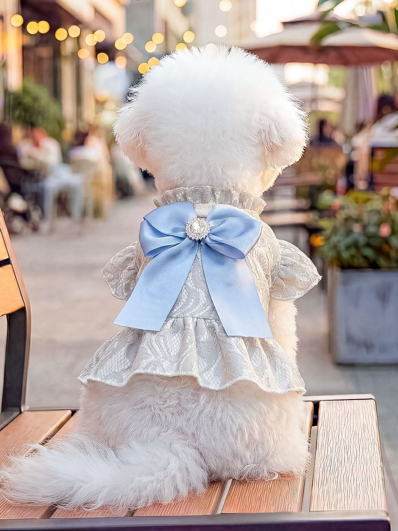 71dca0690b8c49229f638399ae1e24ab-Max