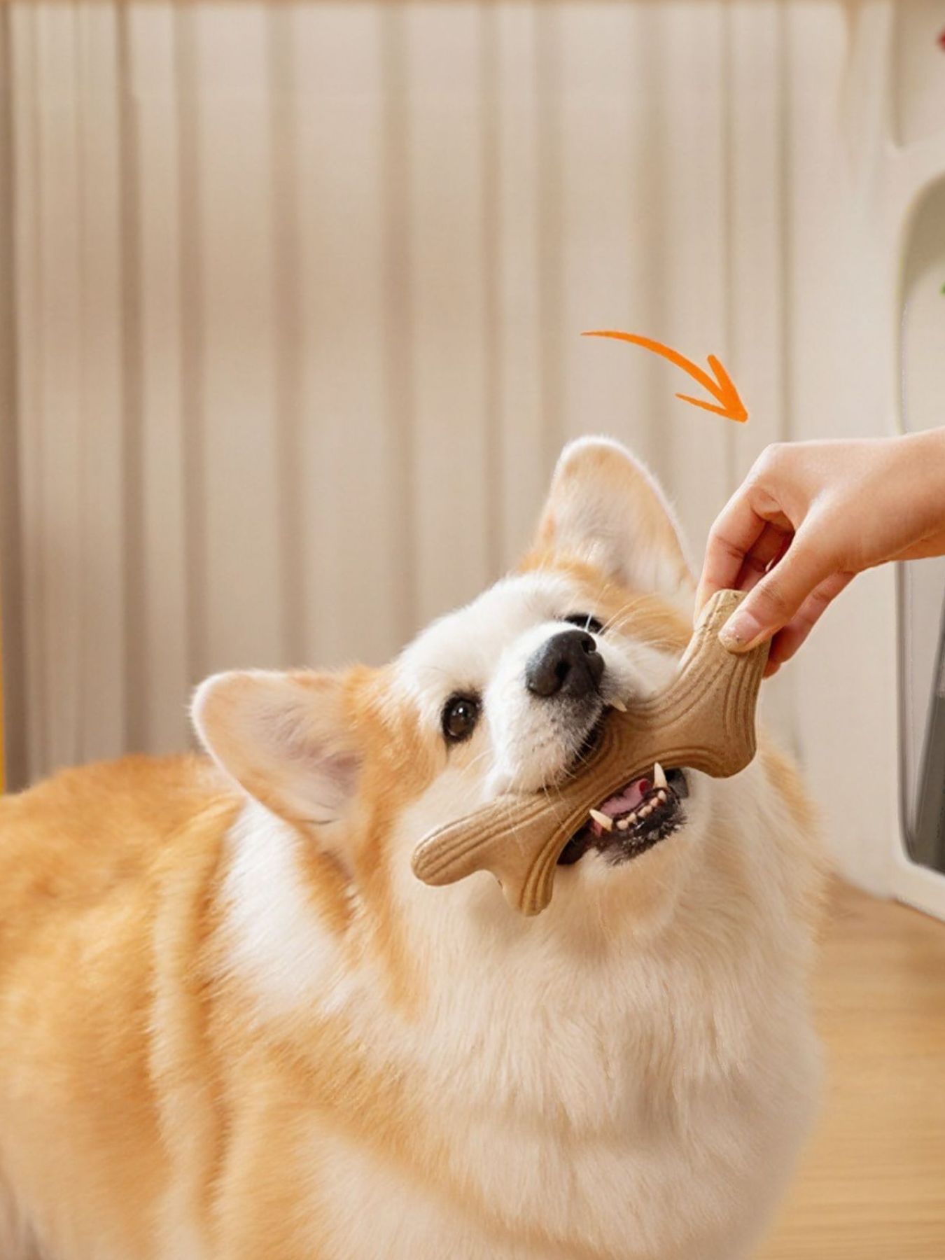 7215fff6-08b4-45a6-8795-07206dbee62f-Max