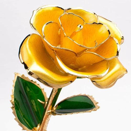 24K Gold-plated Rose Flower With A Gift Box Valentine's Day Gift by JeansDenim.Store