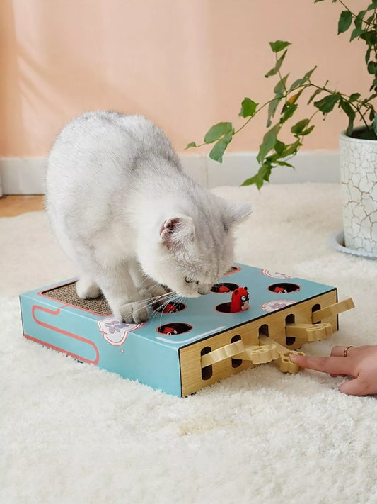 72e1eaf5-c553-4901-a0c9-7d6c8b1719ea-Max-Origin