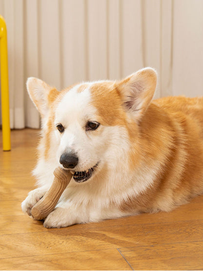 761aff3a-de77-4c3b-a255-0ba2b4e08bae-Max