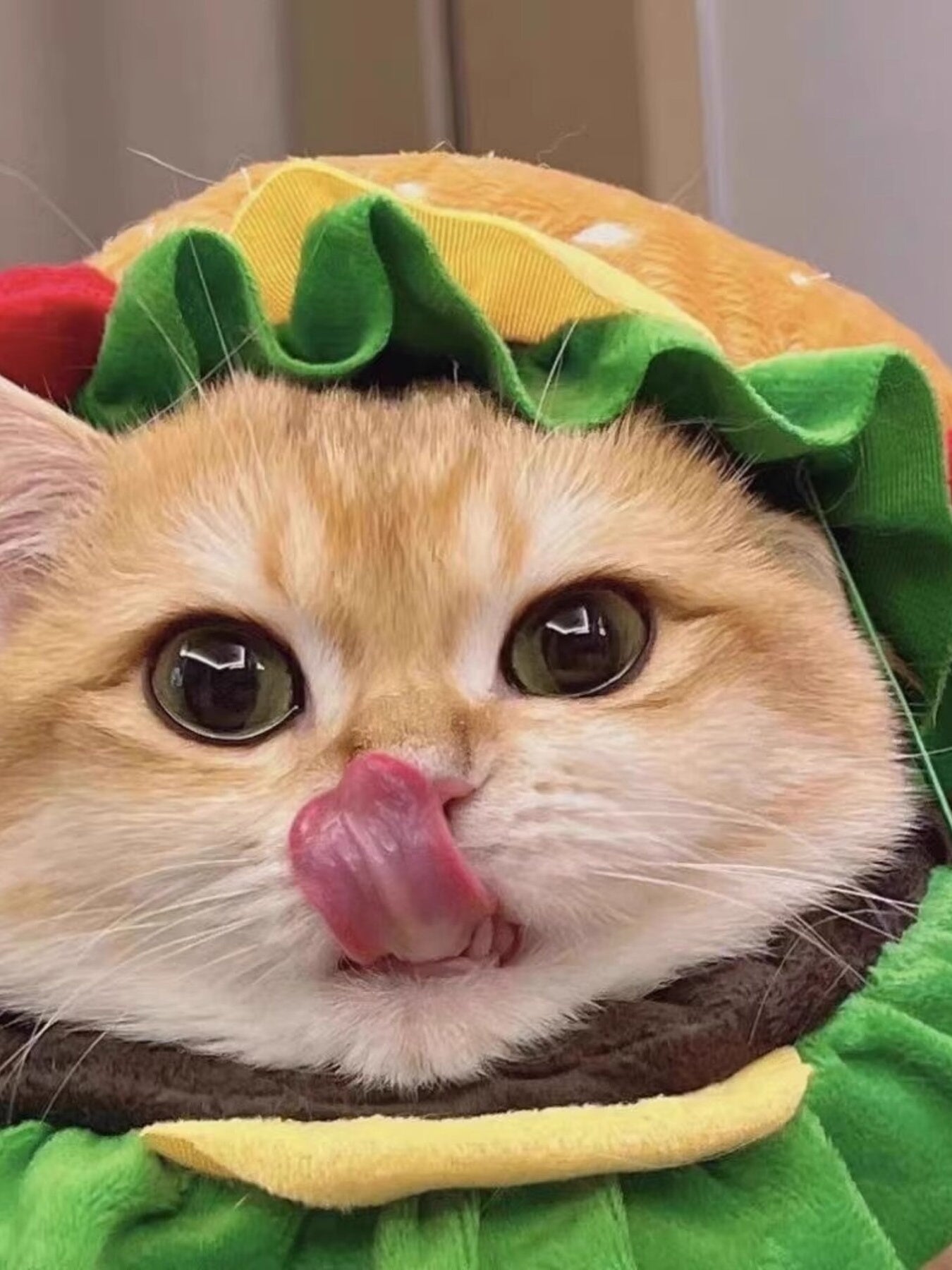 767cf97a6f3b4dd9a1905bf23f7d0c4e-Max