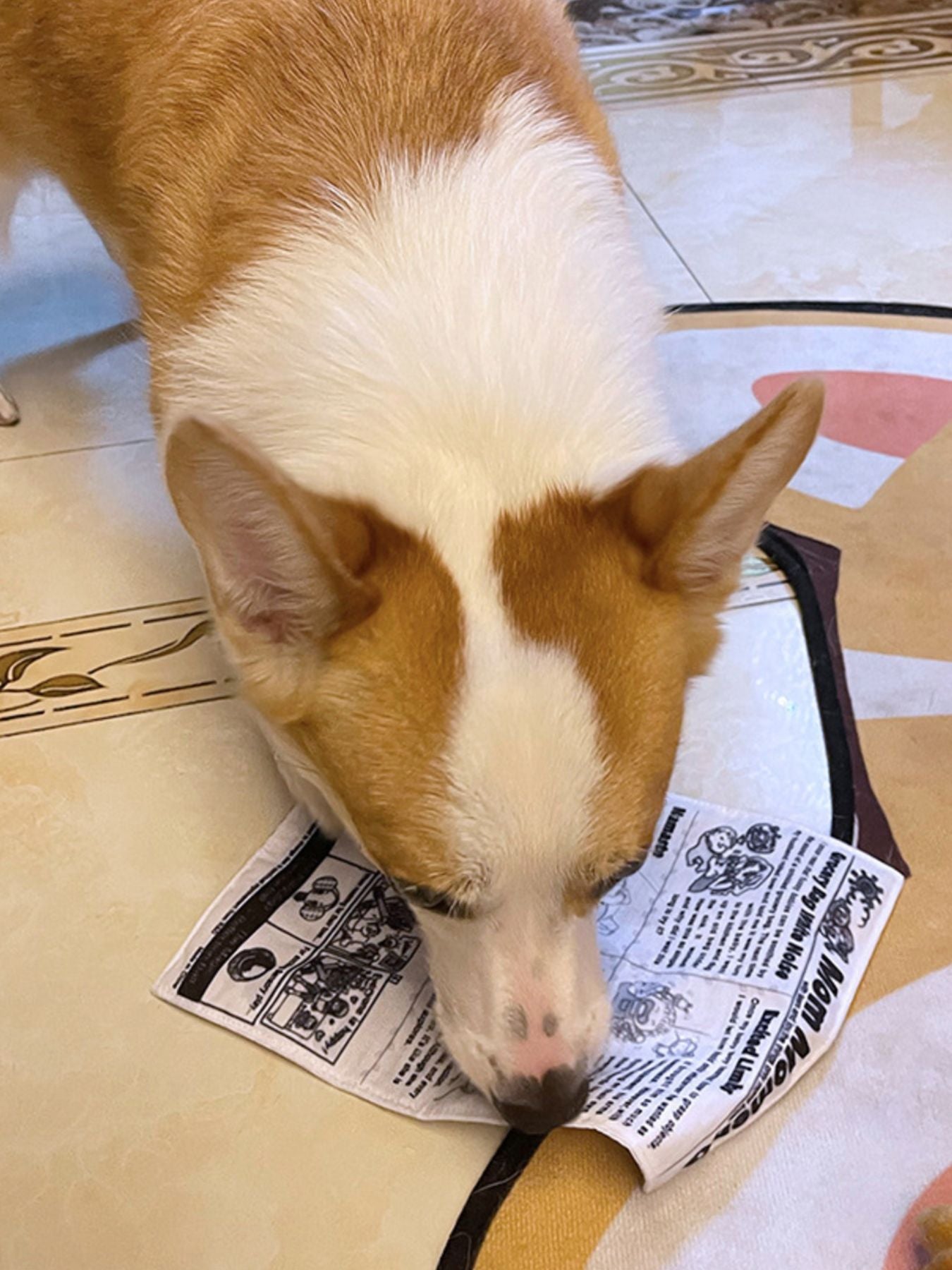 7a82c7f3-a822-4c03-9855-ea2b95bb2eaa-Max