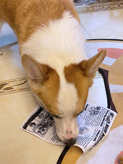 7a82c7f3-a822-4c03-9855-ea2b95bb2eaa-Max