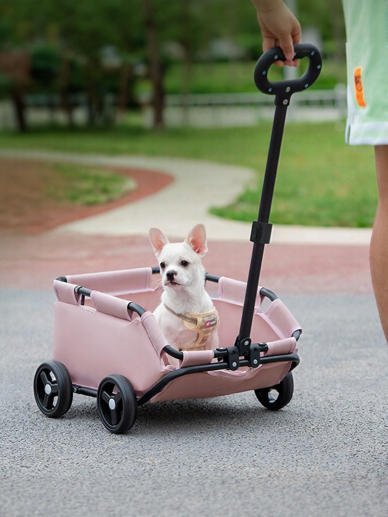 7fae76bd-45ea-45c2-86ca-cbba6659ba24-Max