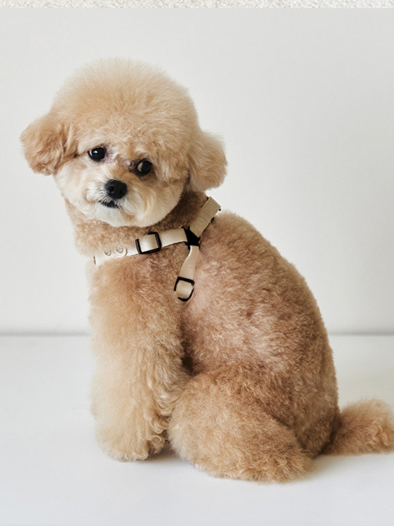 86c5339a719e494d84798134f90e983c-Max