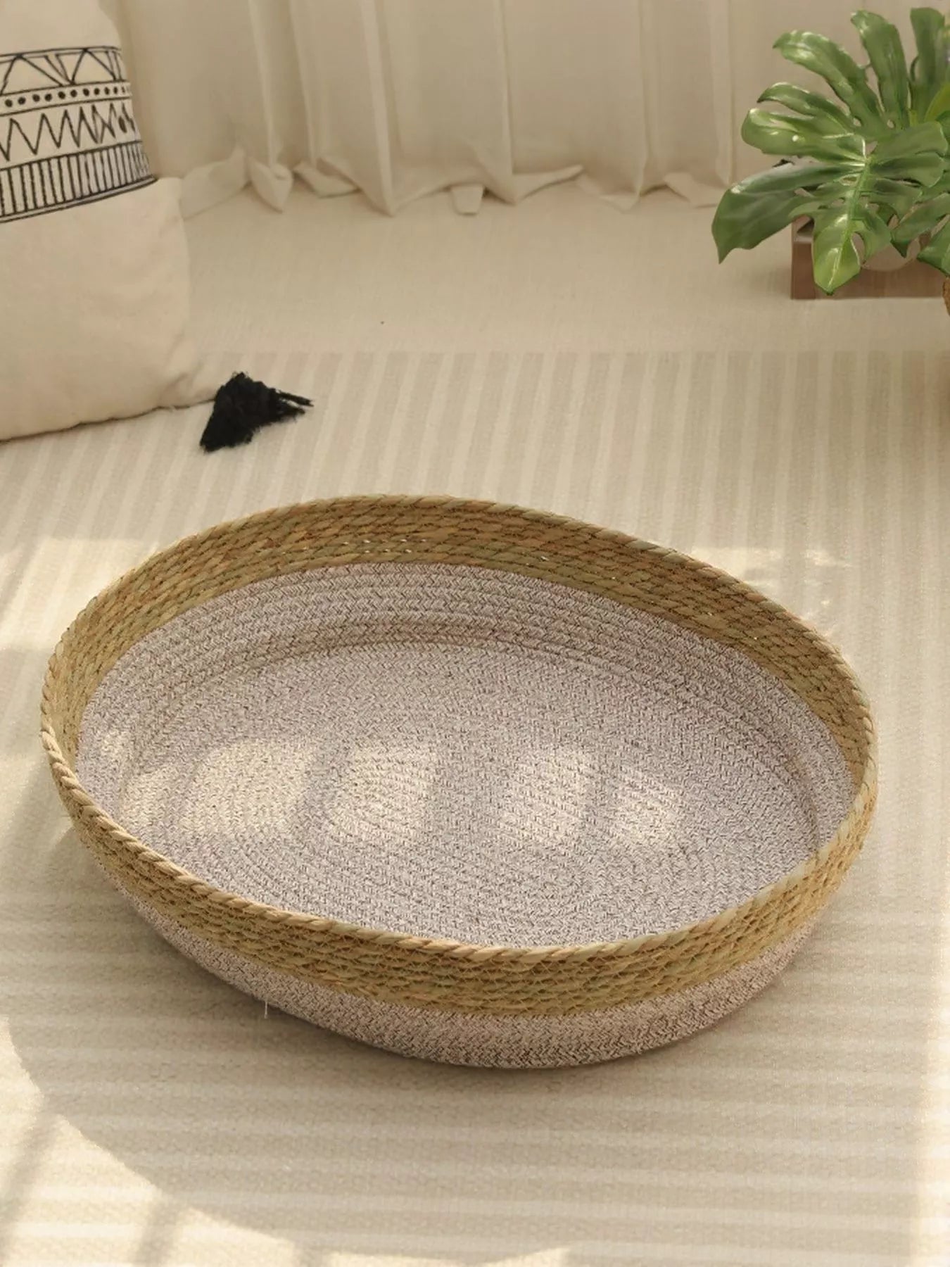 88006e63-c6f5-4344-b380-fe06c4f76a1f-Max-Origin