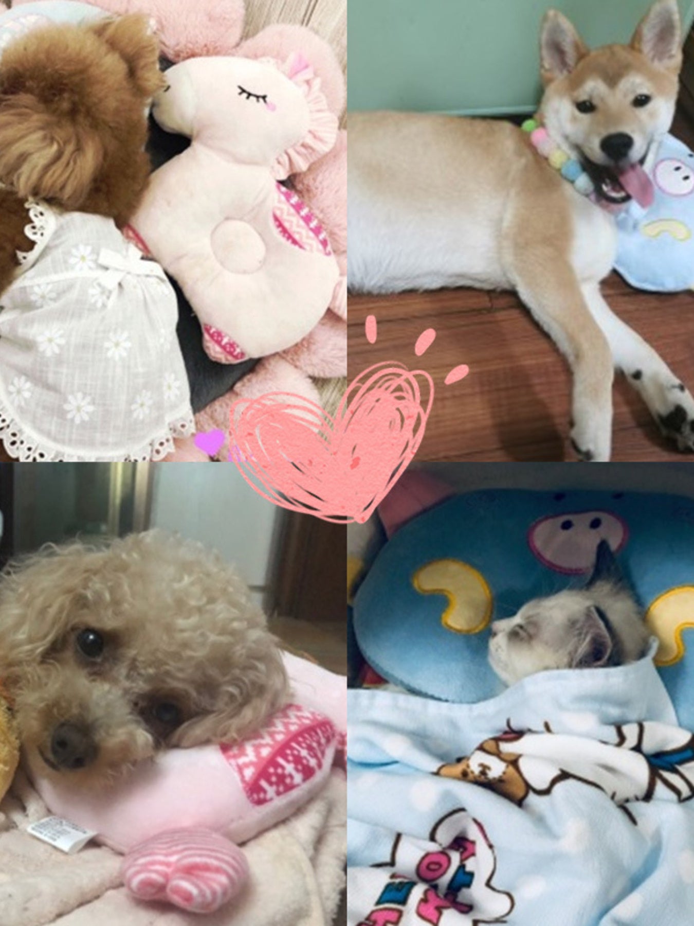 88cac666def7437db844202063a2f3d9-Max