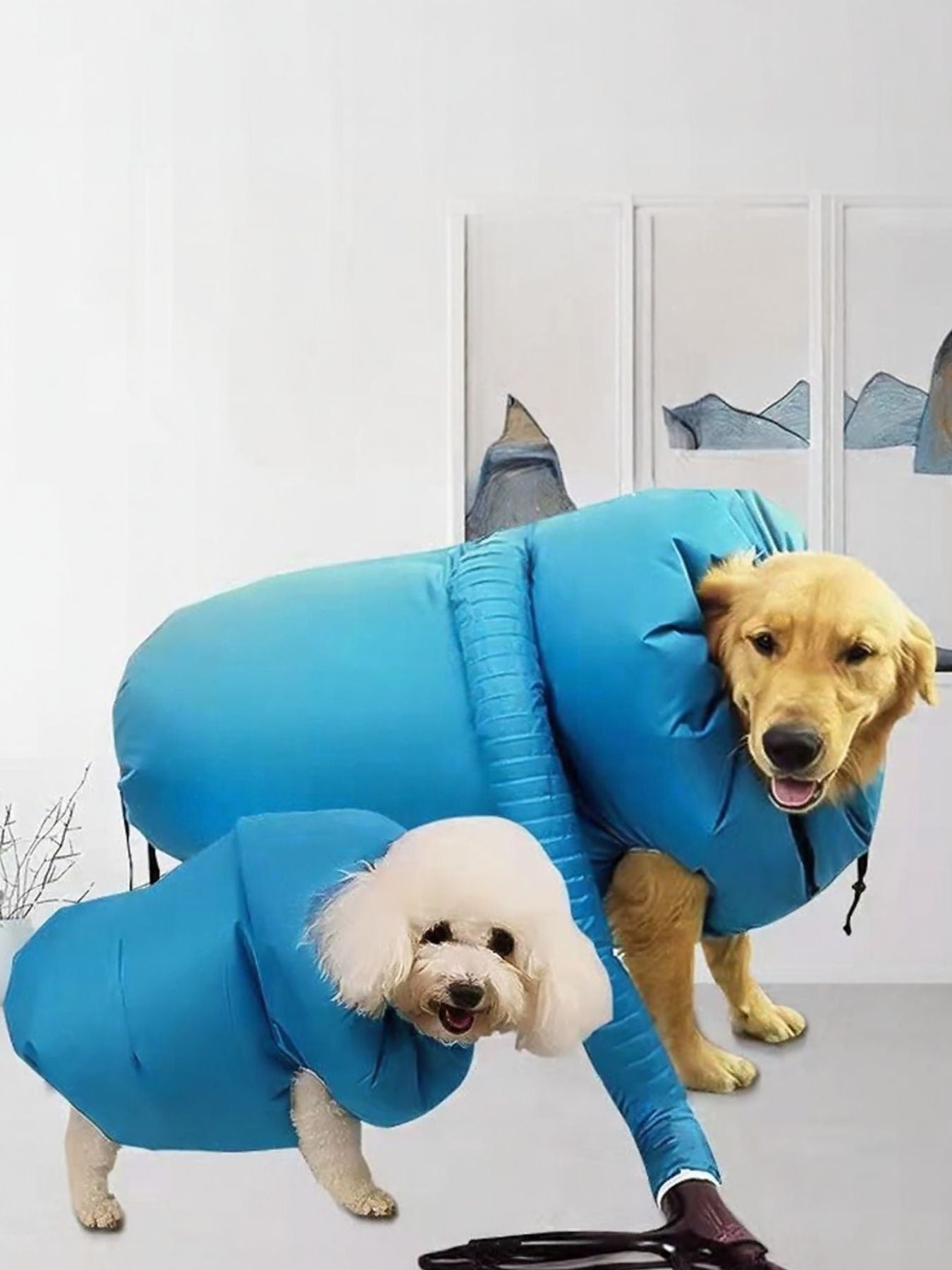 89c34987-698c-443a-8747-eafc5a27e03e-Max