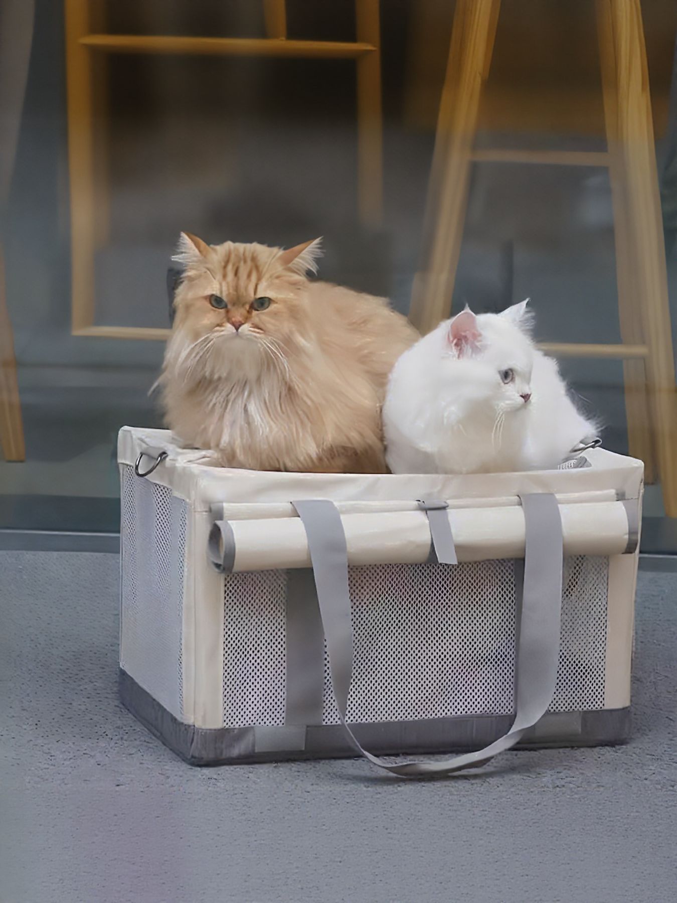 8c78f2ae-1088-41c6-973e-00793437ba98-Max