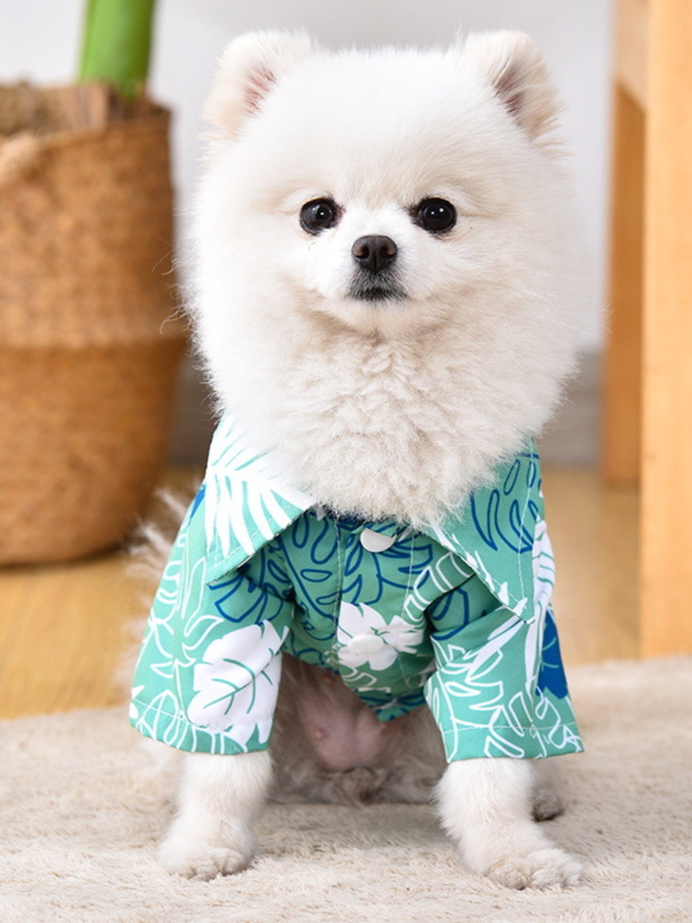 8cd67f3f2dff4a39a4b4a2d209035ac0-Max