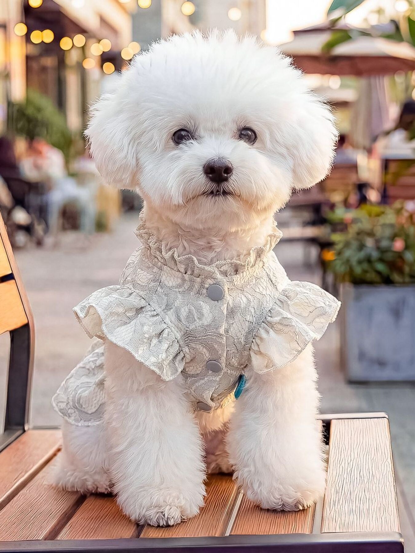 916569fb047348cf87e7f18cdc5e9e03-Max