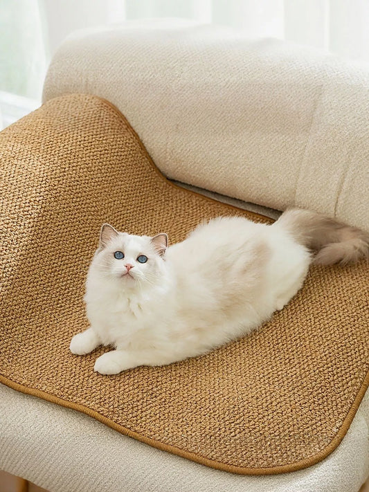 9268bd83-74ed-4ea3-8464-29a993b4841b-Max-Origin