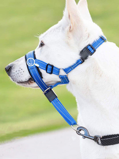 92e94b16c5bb4ceaa3002ec50752b7e4-Max