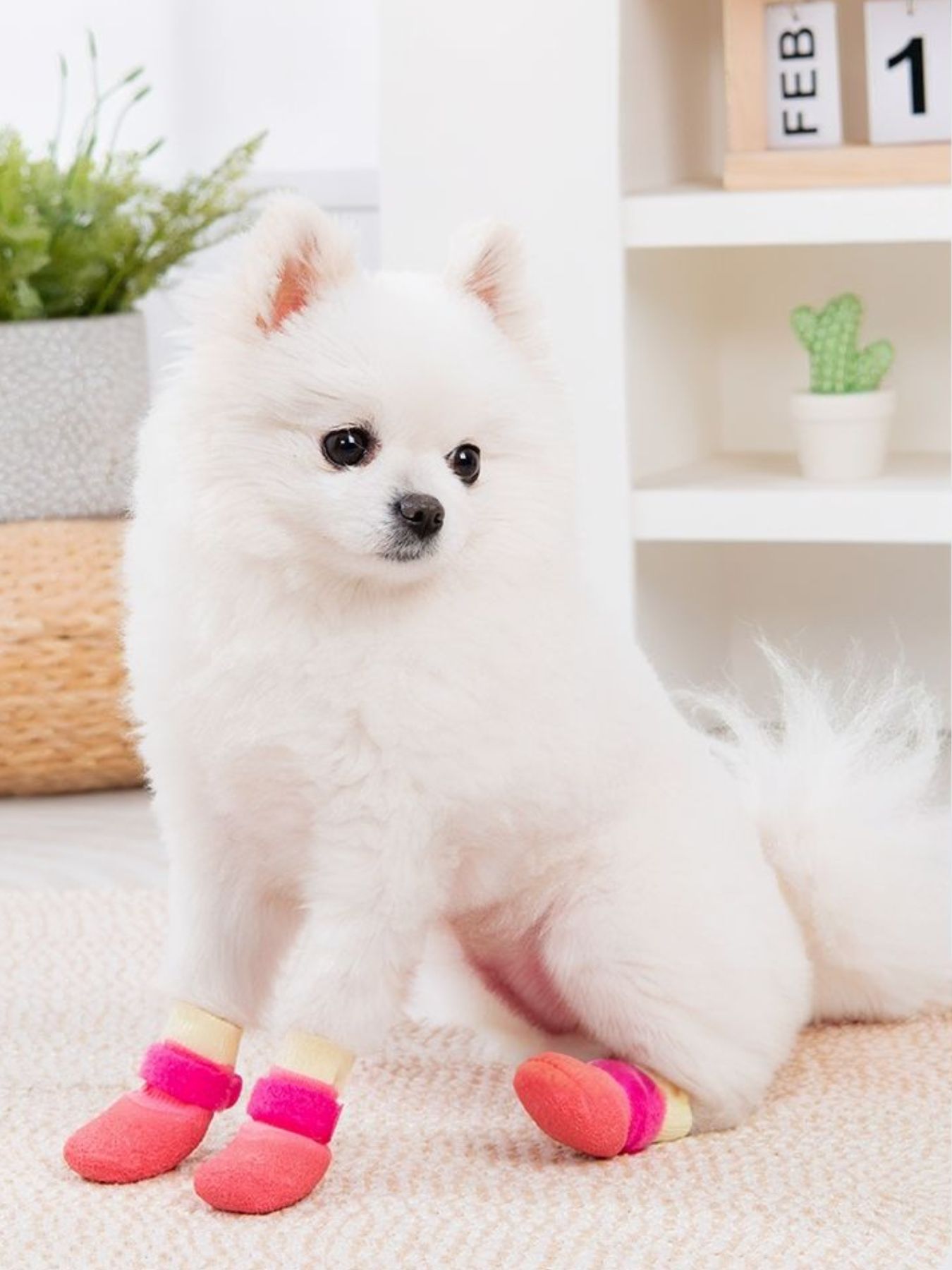 9698ba9d-629a-4446-bb56-a1651d3fea6e-Max