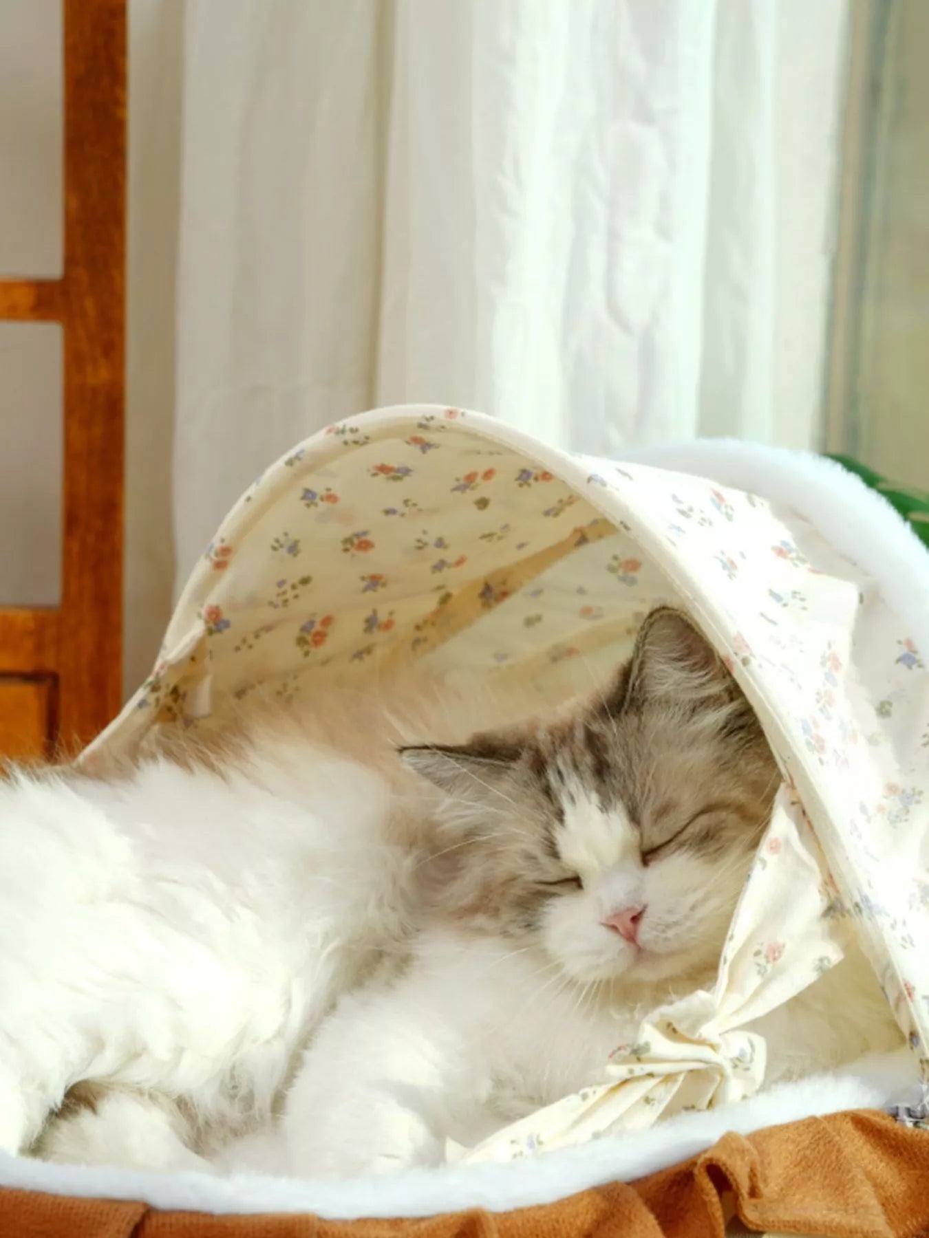 9727ab32-b218-41be-b5fd-f2222b6bcec5-Max-Origin