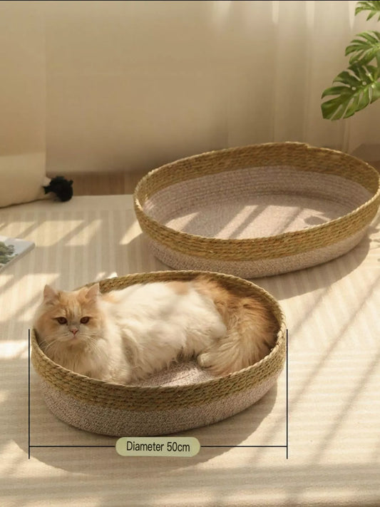 9871f150-e398-4f08-a64f-094c7a9d7073-Max-Origin