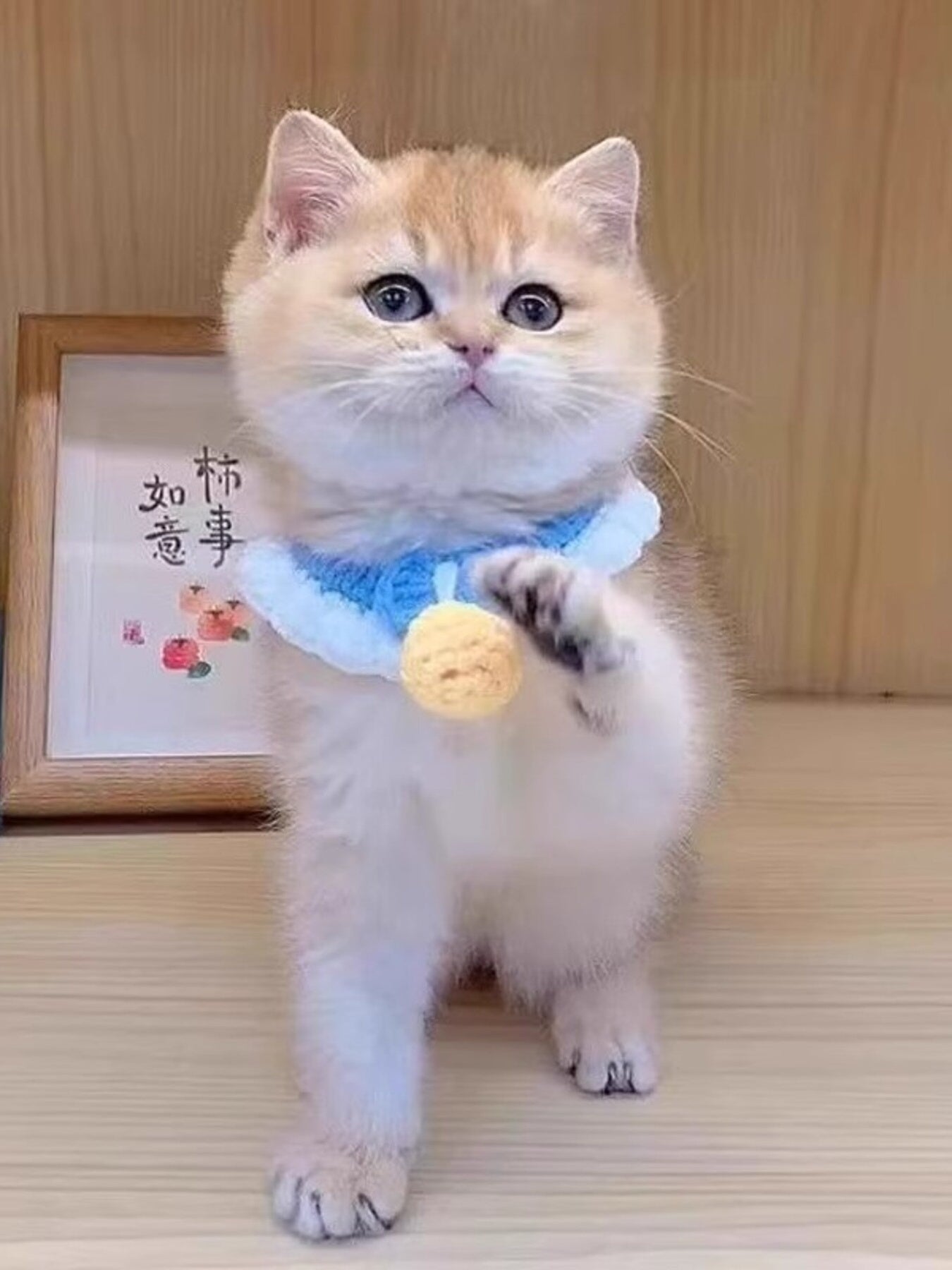 9fd3a4d3a41546b0a3715fd8931b702c-Max