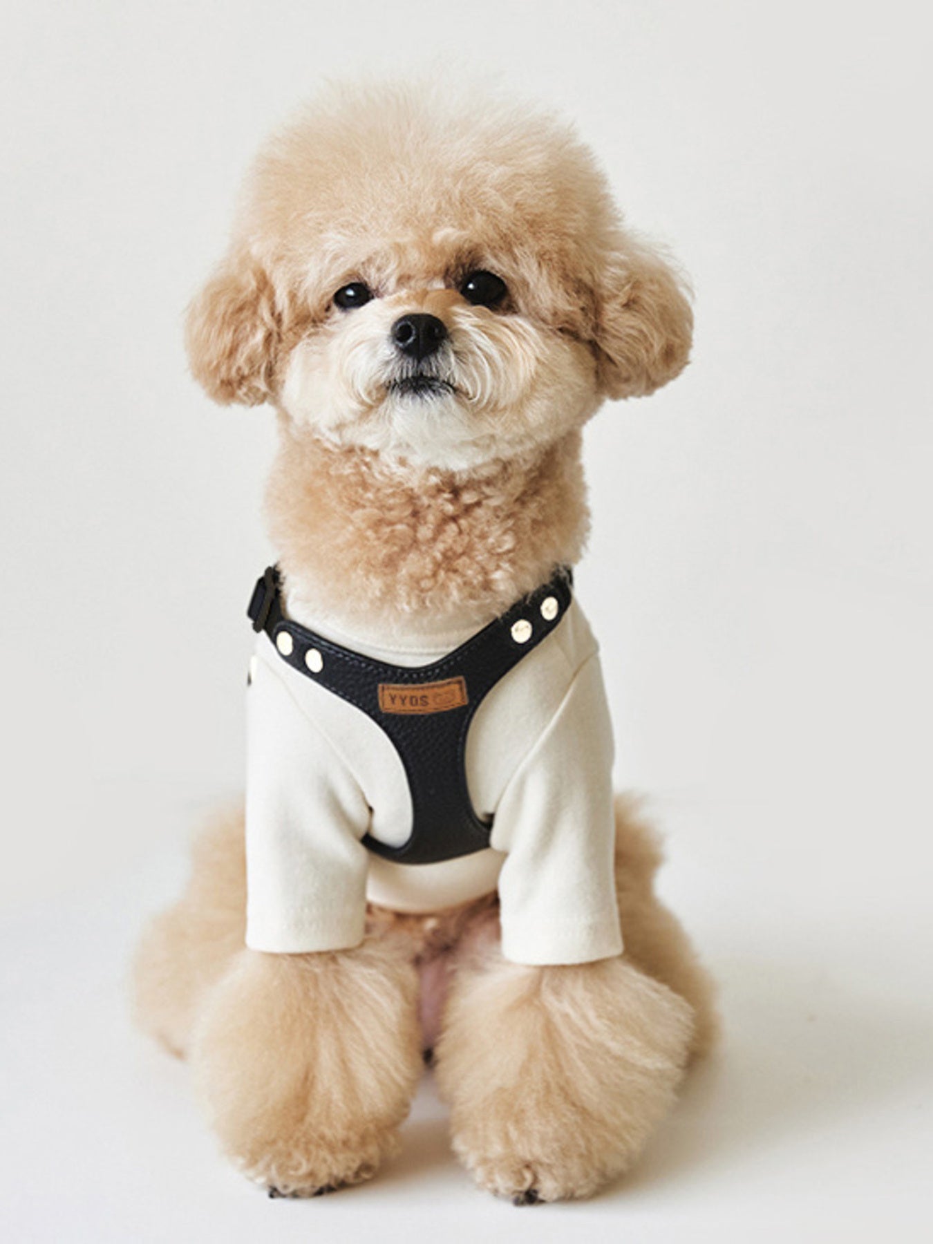 9ff599505f6142daa91c9ef8cb58ff34-Max