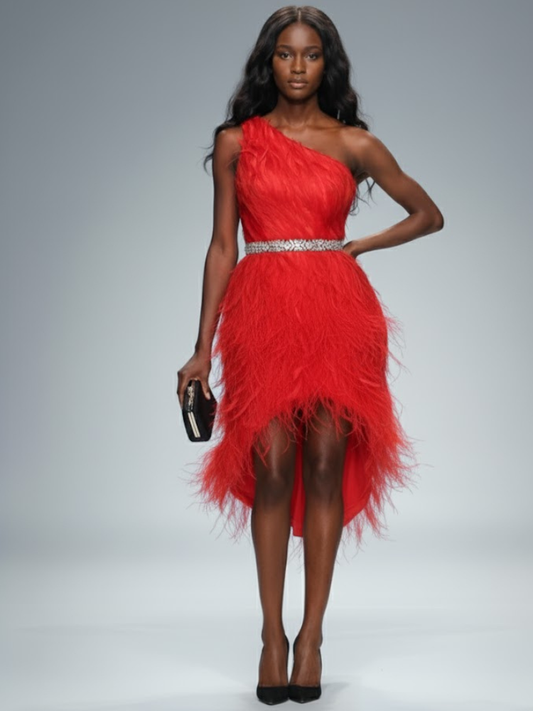 Roxy Asymmetric Ostrich Feather Mini Dress In Red BYMANYC New York