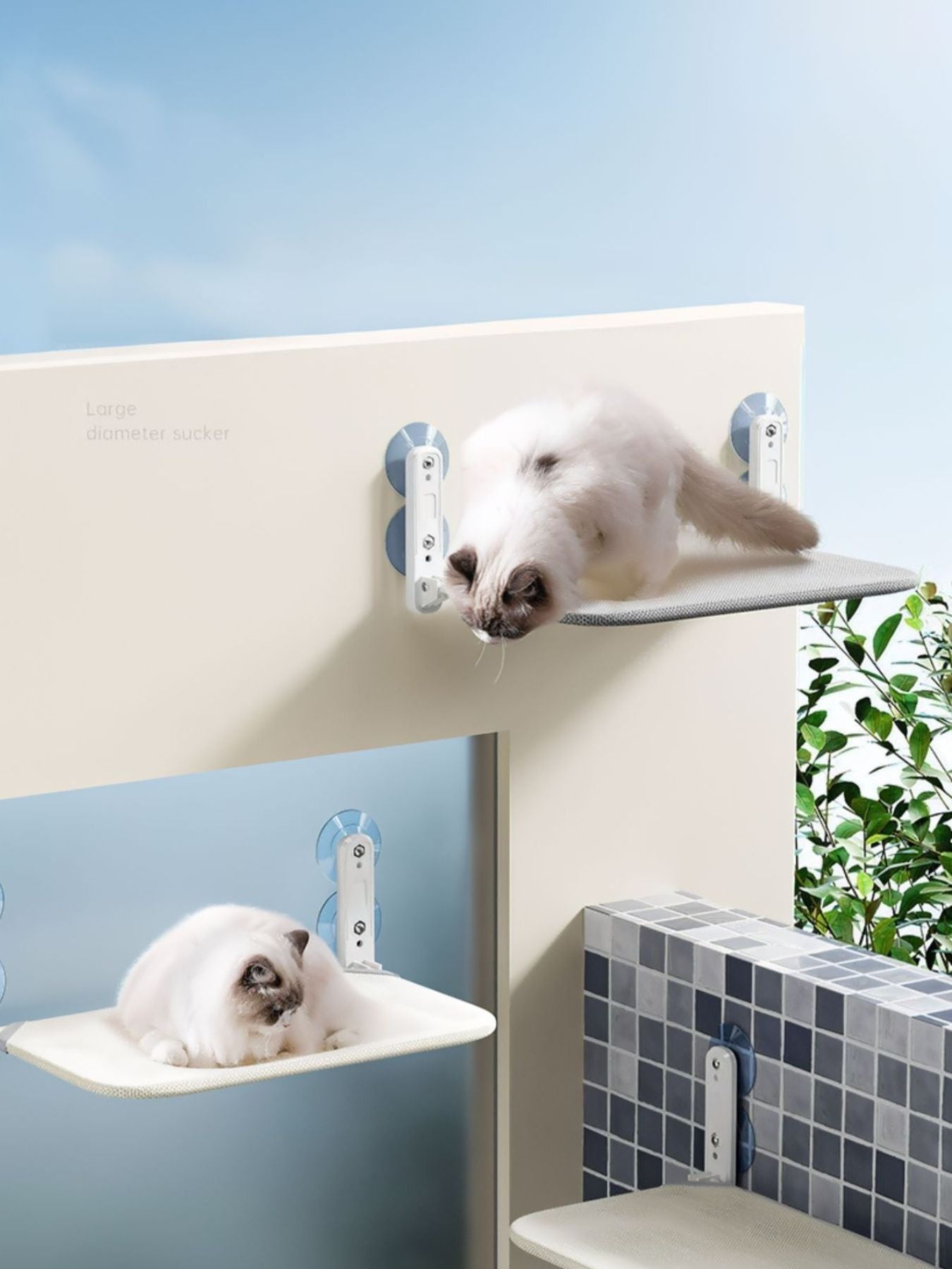 a288cc06-33cb-491a-8467-155739e5e2d6-Max