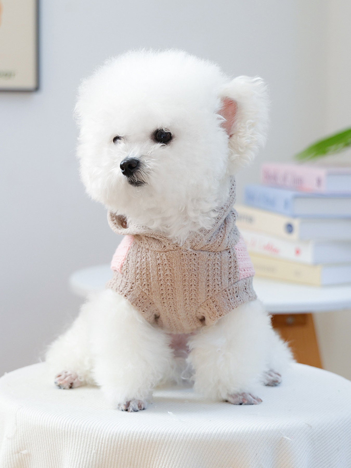 a6938655434d47ab8f1b088792385381-Max