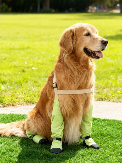 a93e5685-a585-4d86-a1ea-a396b160fa54-Max-Origin