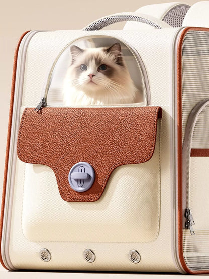 adbcb292-4793-4385-b0e5-5f14424fc164-Max-Origin