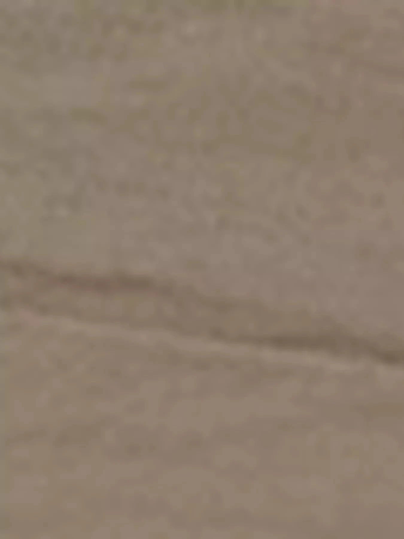 Zip Up Lightweight Jacket by Trendsi