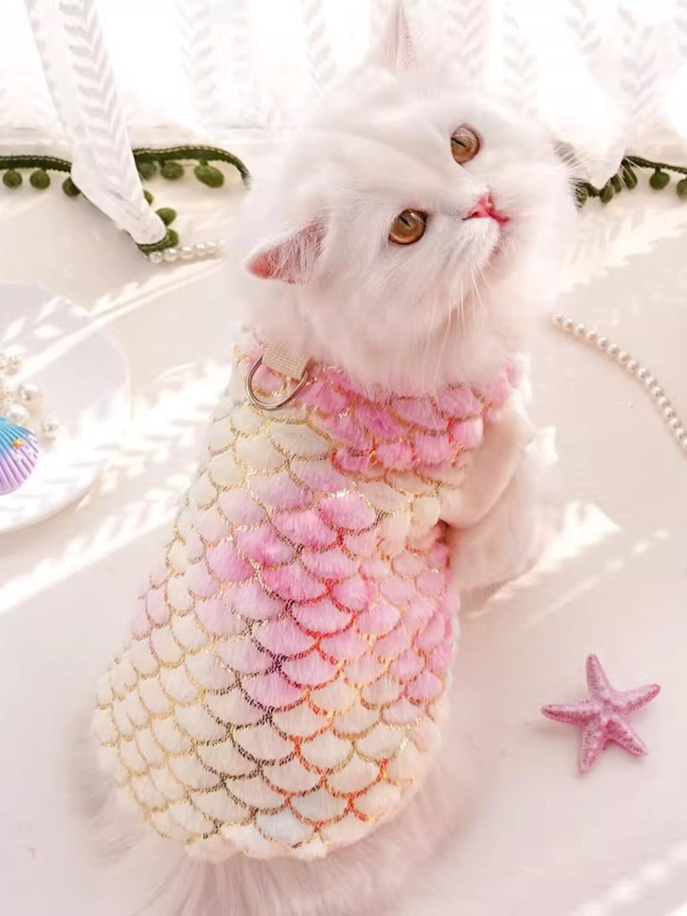 b4db870d3e624ae29226d00fbd8c702b-Max