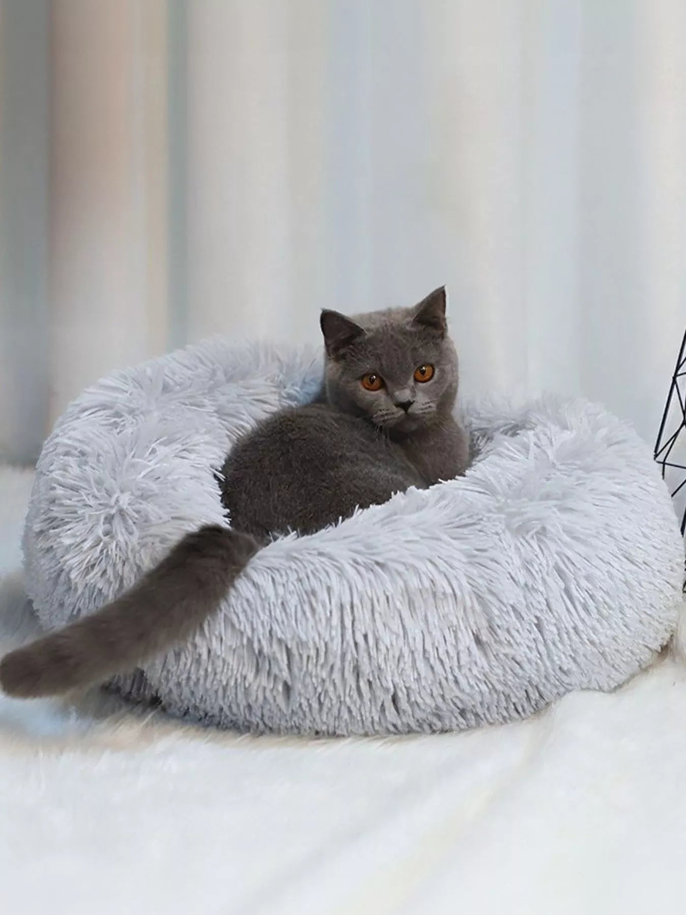 b75e1dc8-8895-4756-a35e-0be060ffa297-Max-Origin