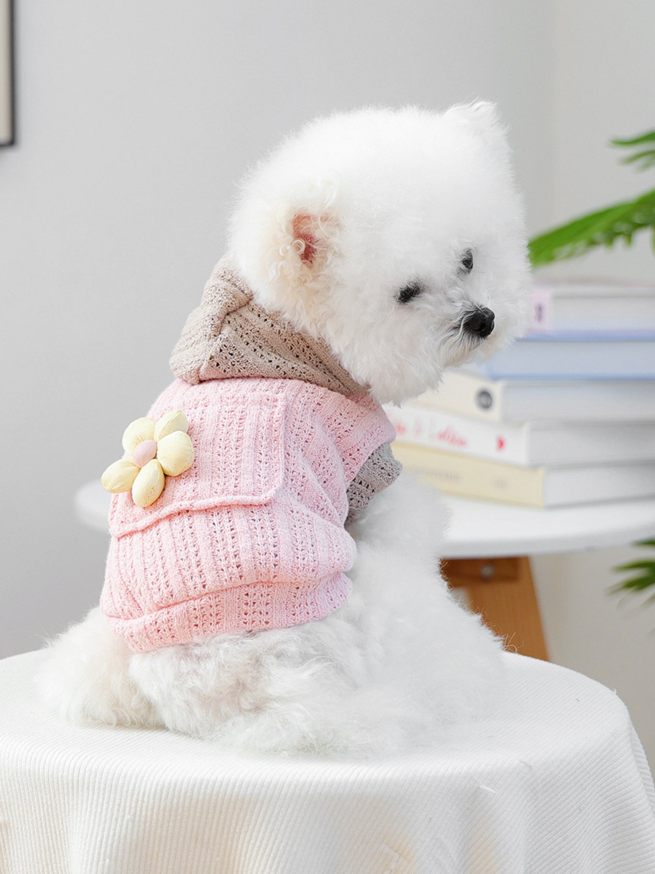 c1c33cff90b54f65a42048461cbc0705-Max