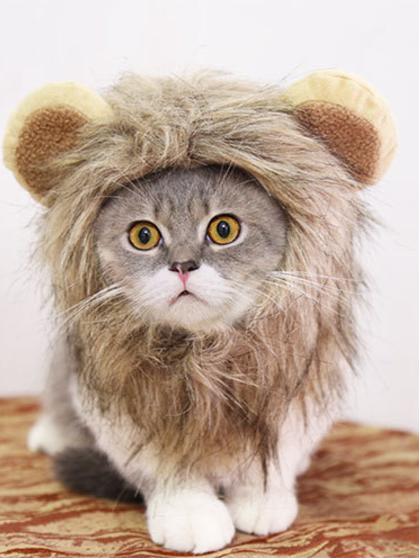 c6f5392c86fb4687b6425d1440eacb95-Max