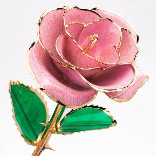 24K Gold-plated Rose Flower With A Gift Box Valentine's Day Gift by JeansDenim.Store