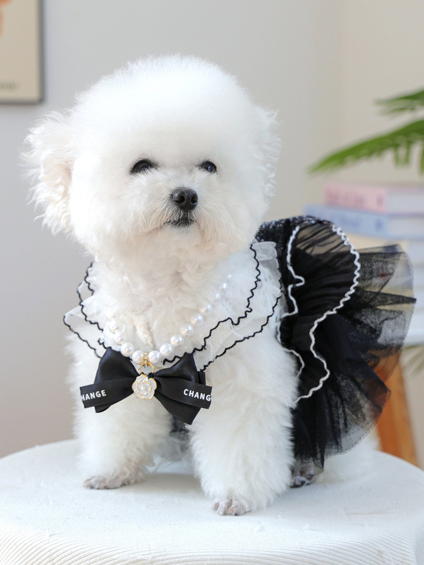 ccabb312f44a421b827fda24a44653be-Max