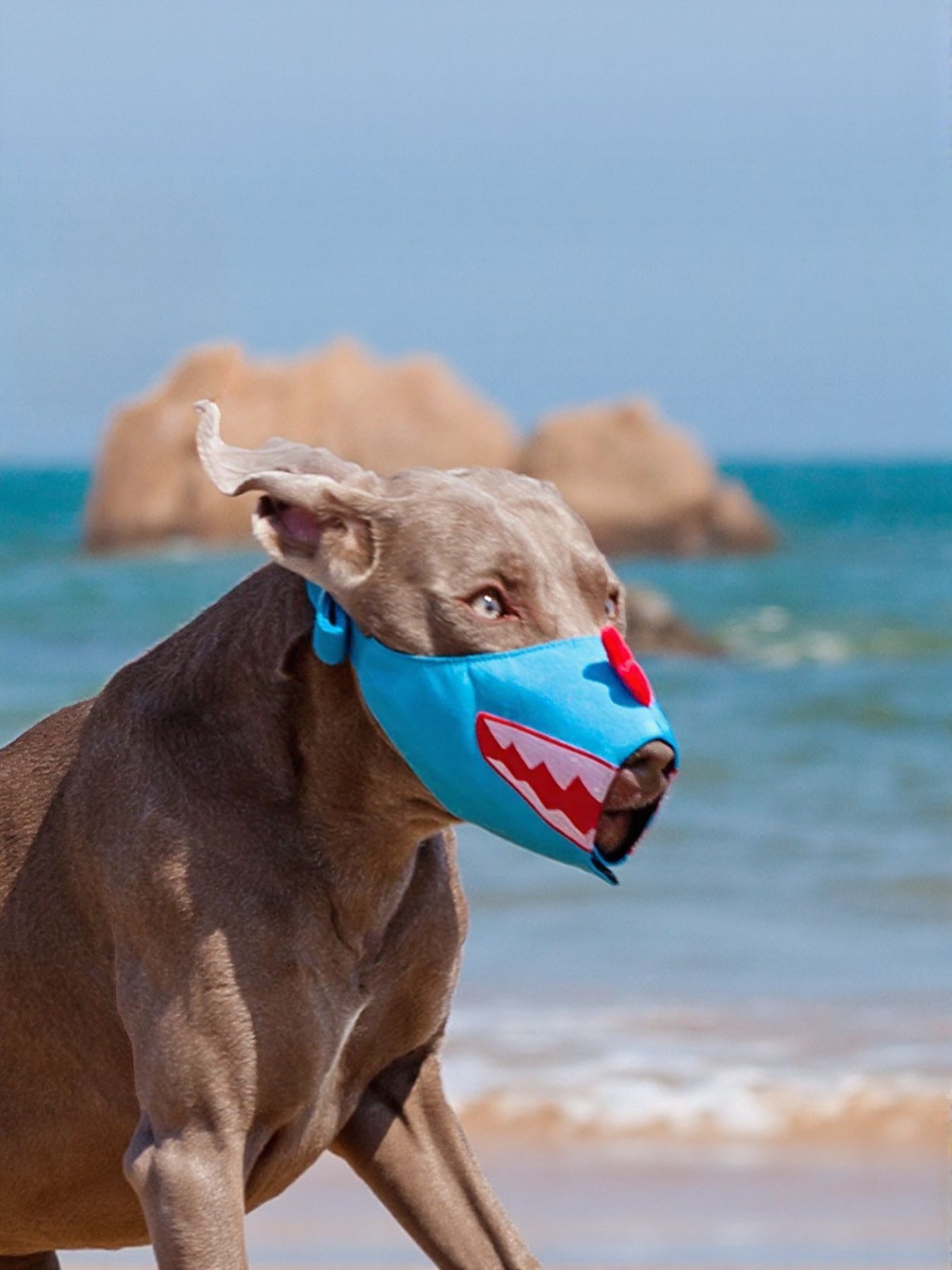 ccc56a90-bec6-4b9b-a465-e9c31e22ab2b-Max