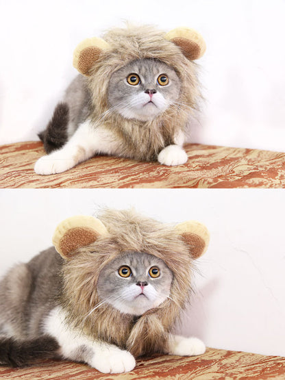 cdc79cd4f3f745eca63e63ff6a1b022b-Max