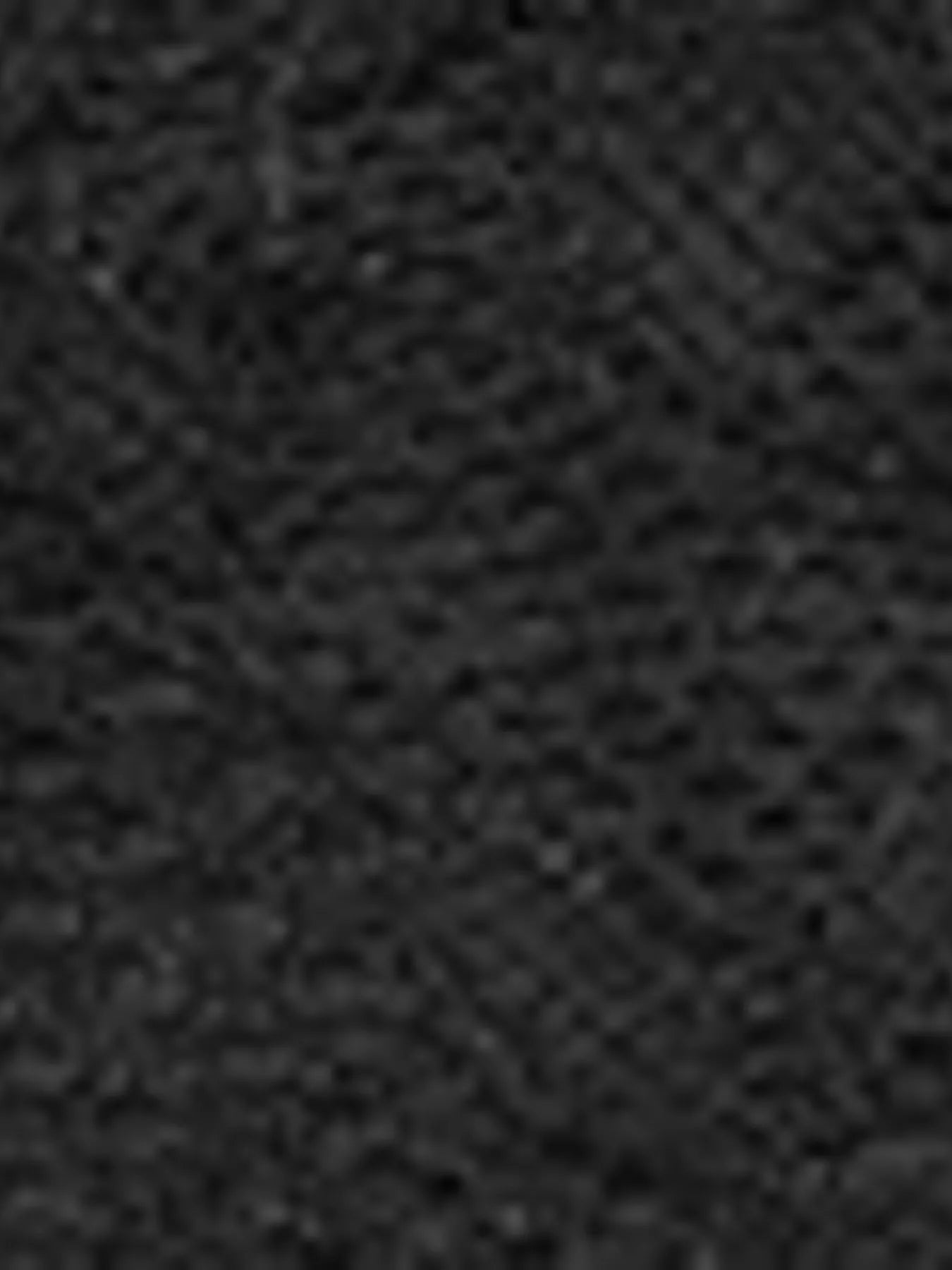 Lace V-Neck Long Sleeve T-Shirt by Trendsi