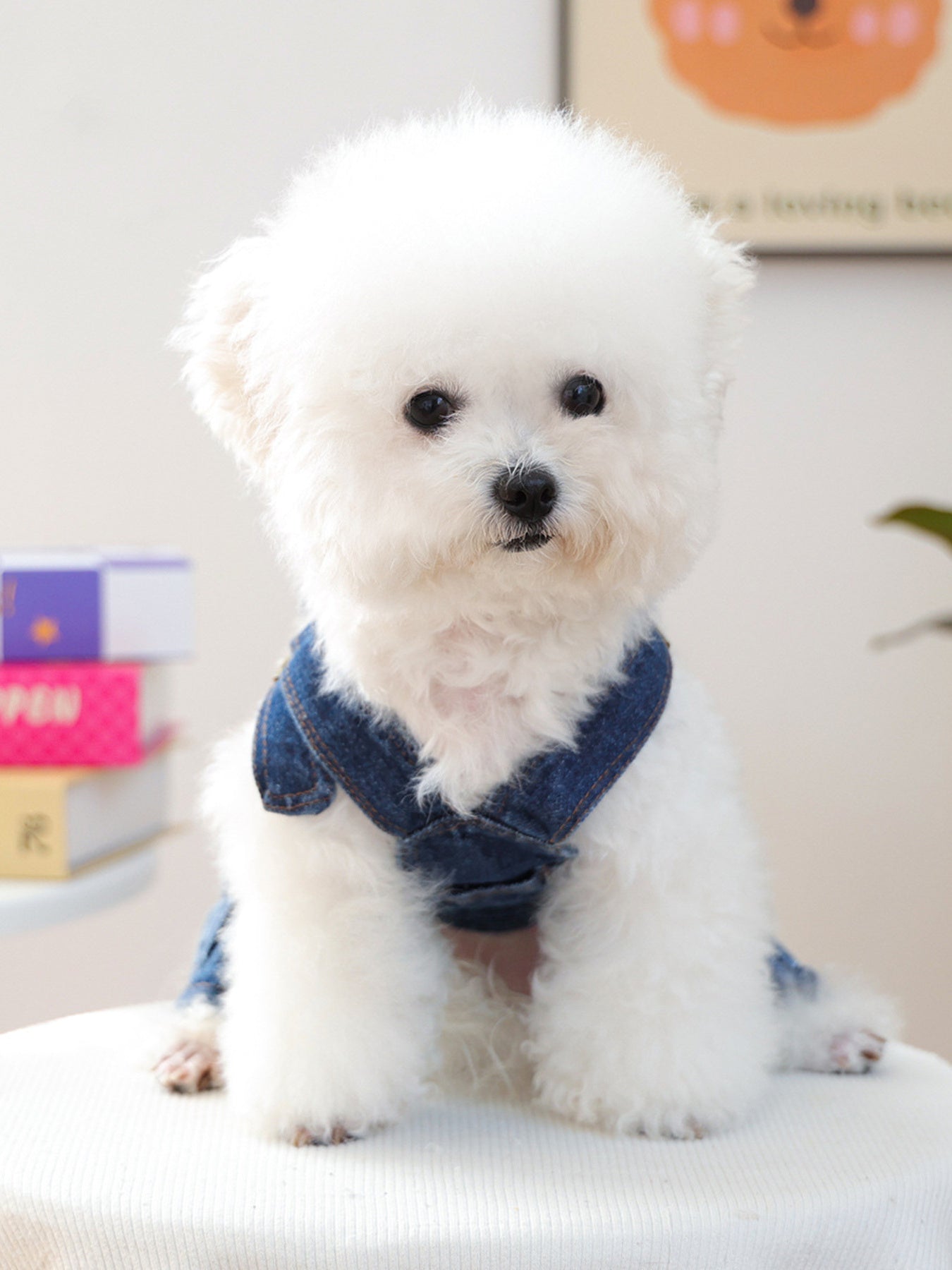 d26ec2d190f04c58903e3b79e32a1b37-Max