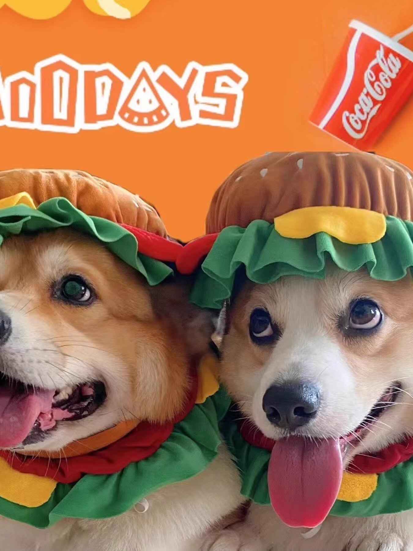 d3627163501d41eab5b138d7f8656de4-Max