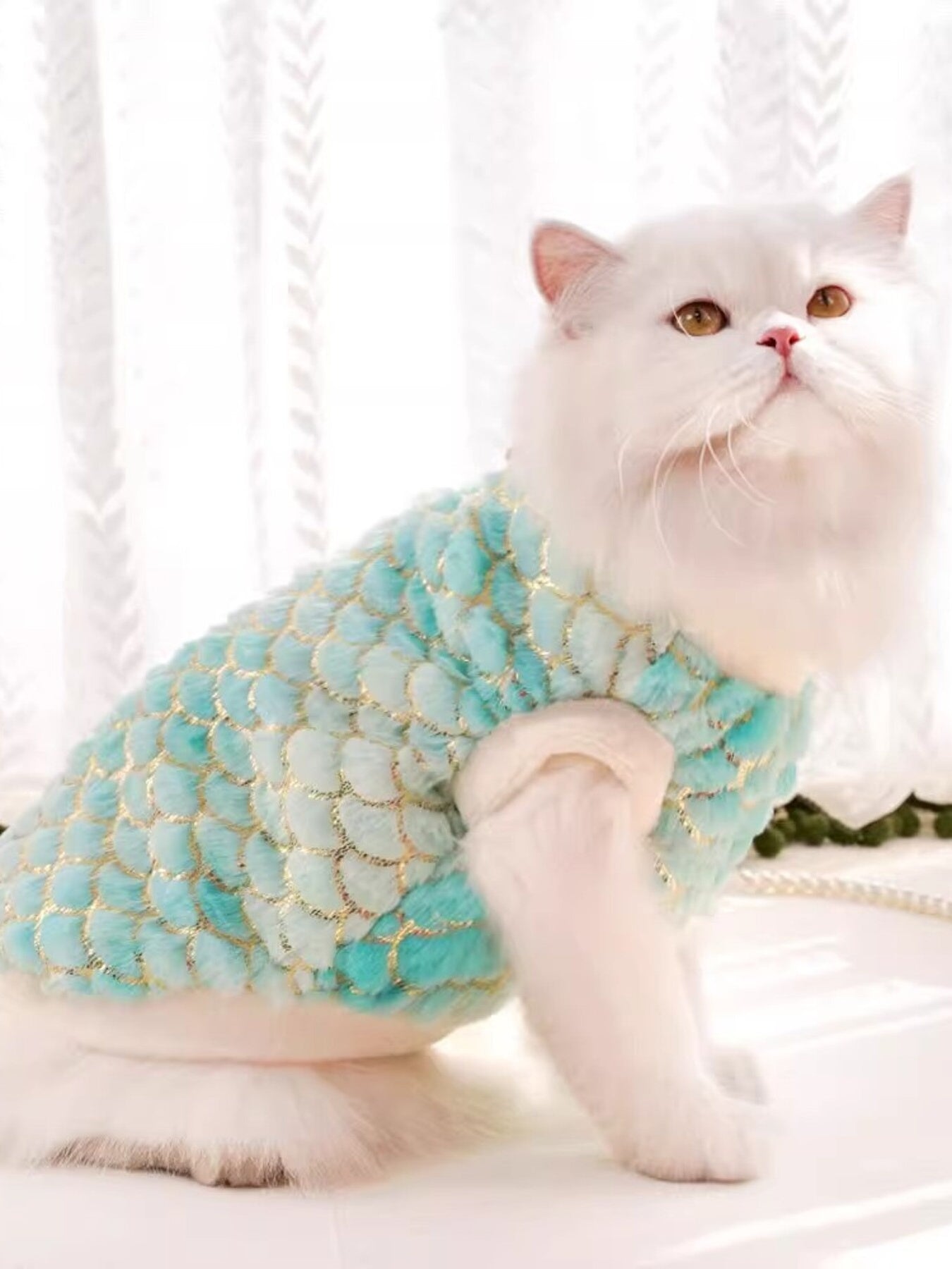 d3e4c92f5ec0470faadcc6c436d5bedb-Max