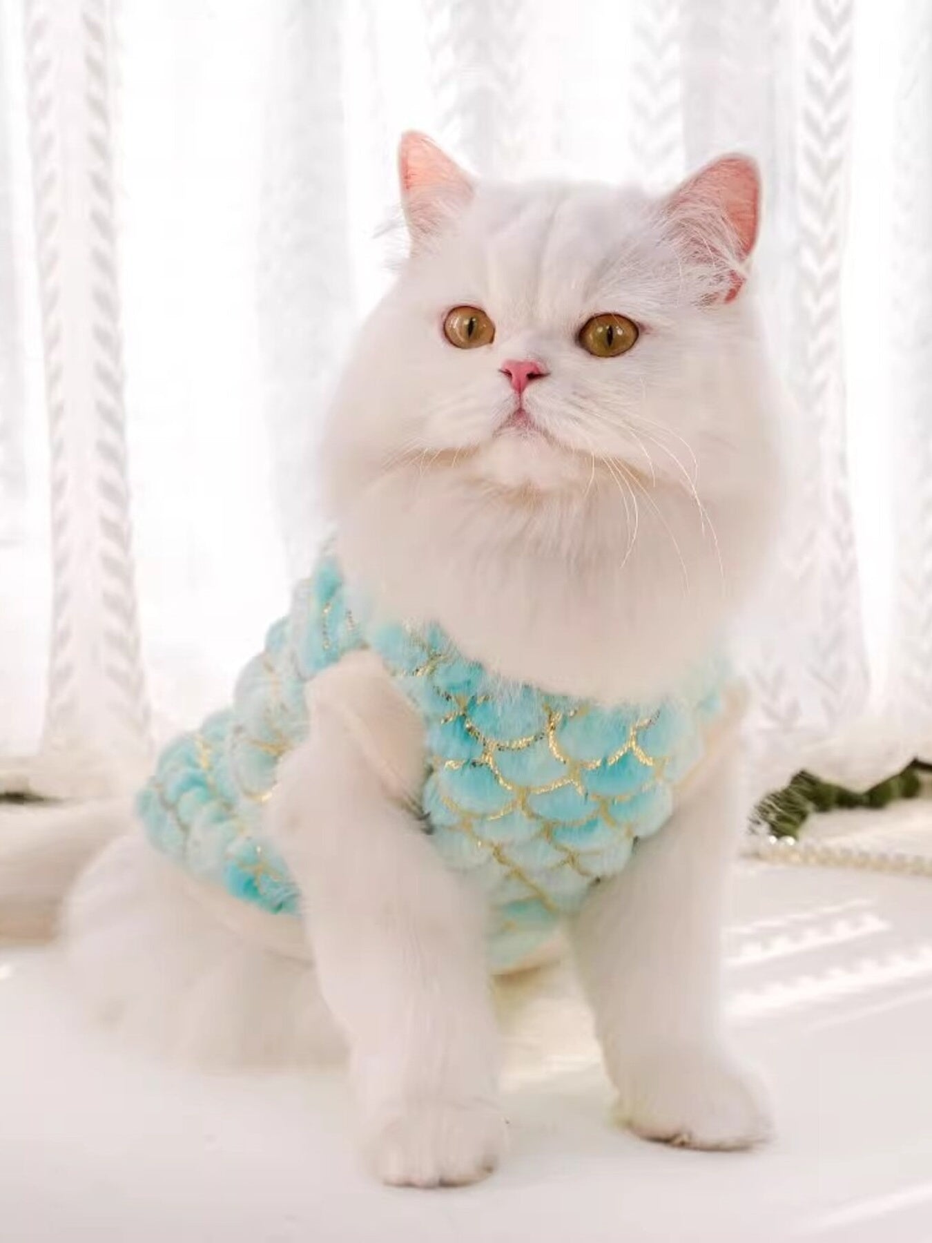 d4d113abd24d446b830db2bd8682fecf-Max