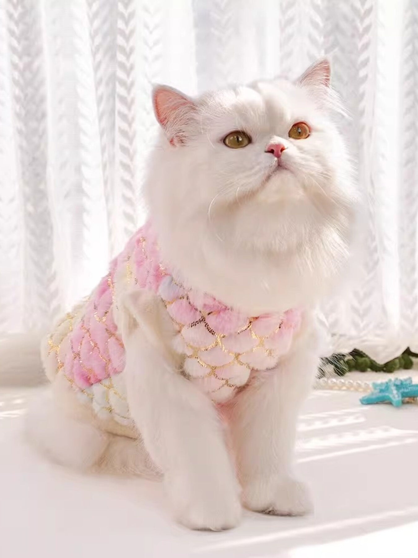 d86cee8ced9f4eee81ec82b0996d59b2-Max