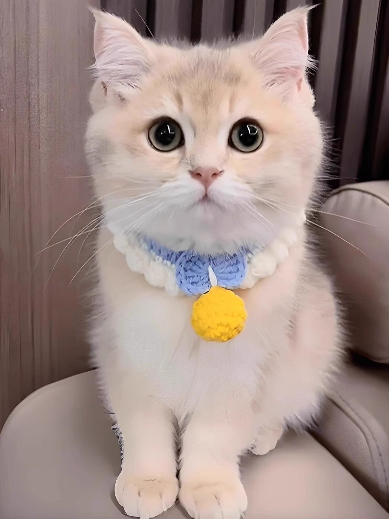 d8759d49f97a4d4691ee3f8833477cd3-Max