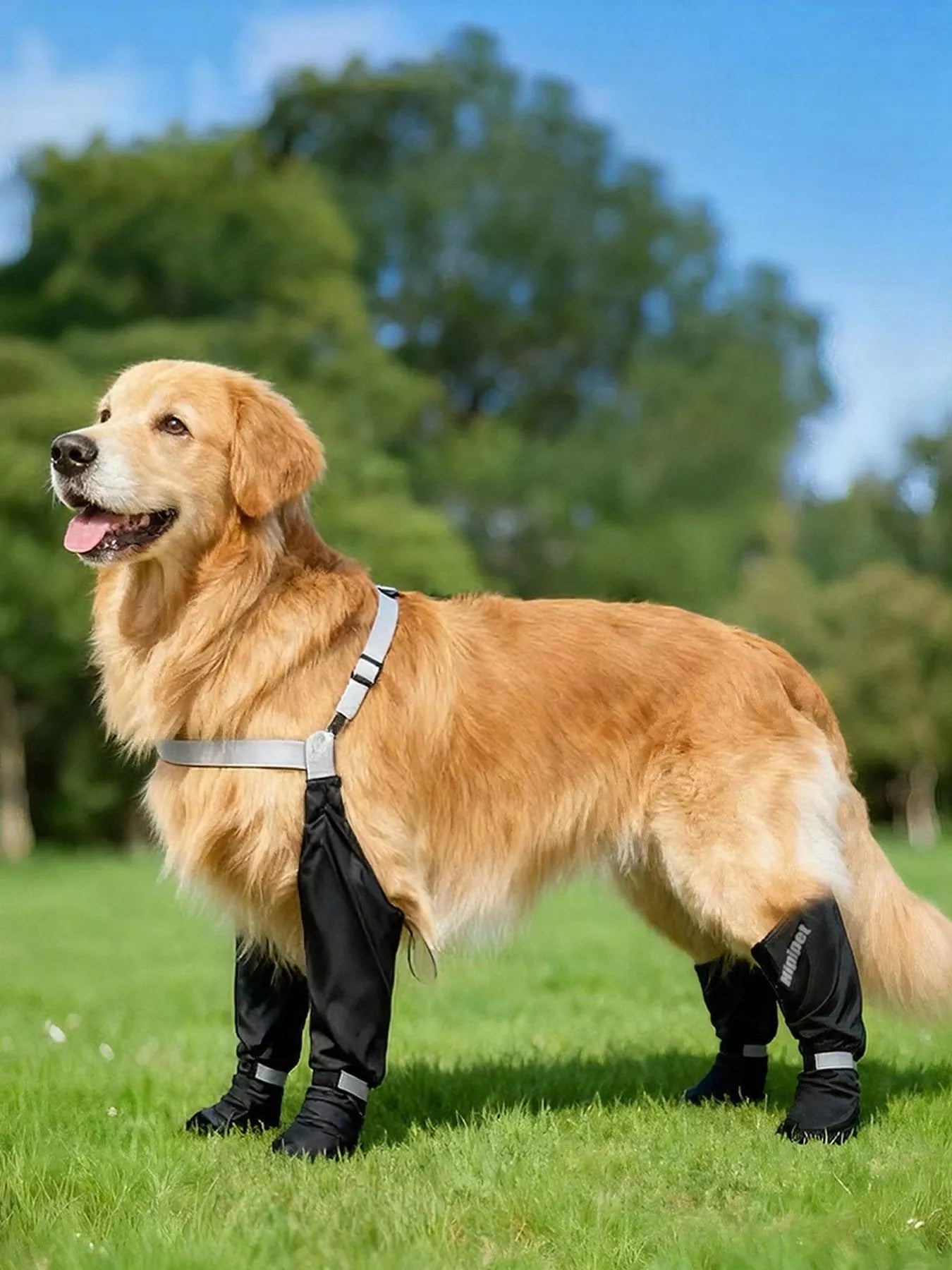 dbc242c0-d8c6-49e6-a1c4-41c08332669c-Max-Origin