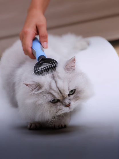 dc89d09a-ae6d-4f60-8546-abc93e5b7f84-Max